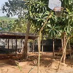 Pajeer Farms