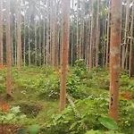 Pajeer Farms
