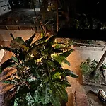Kenson Homestay