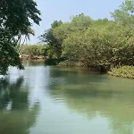 Tara - By The Water
