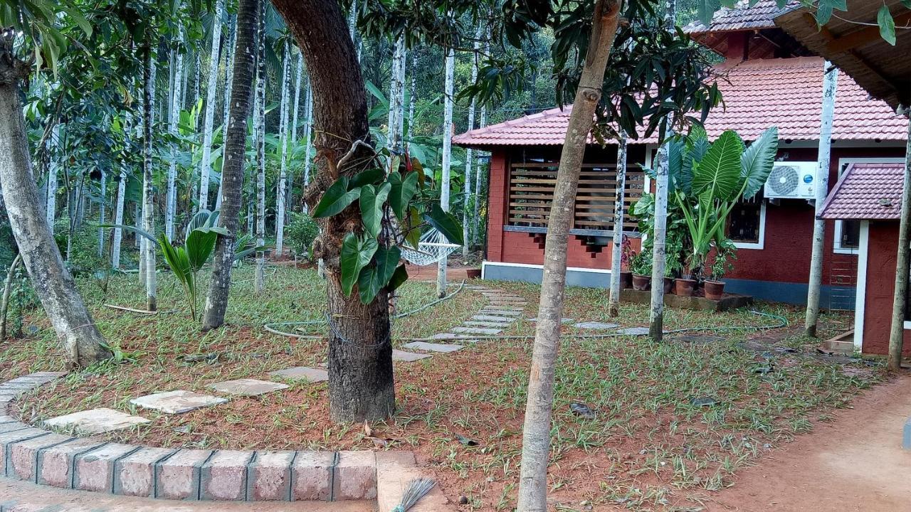 Apartment Nidhivana Farms & Resort, Bakrebail-salethoor Rd, *