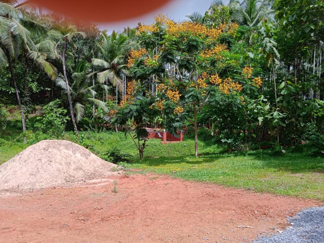 Apartment Nidhivana Farms & Resort, Bakrebail-salethoor Rd,