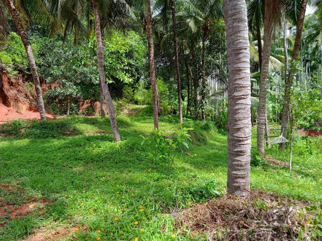 Apartment Nidhivana Farms & Resort, Bakrebail-salethoor Rd, *