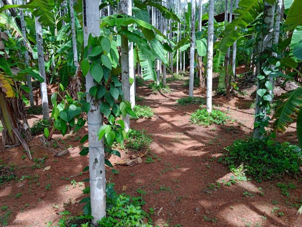 Nidhivana Farms & Resort, Bakrebail-salethoor Rd, * Mangalore