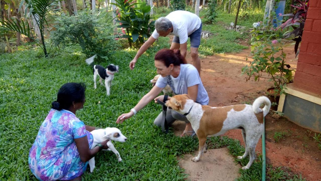 Nidhivana Farms & Resort, Bakrebail-salethoor Rd, Apartment