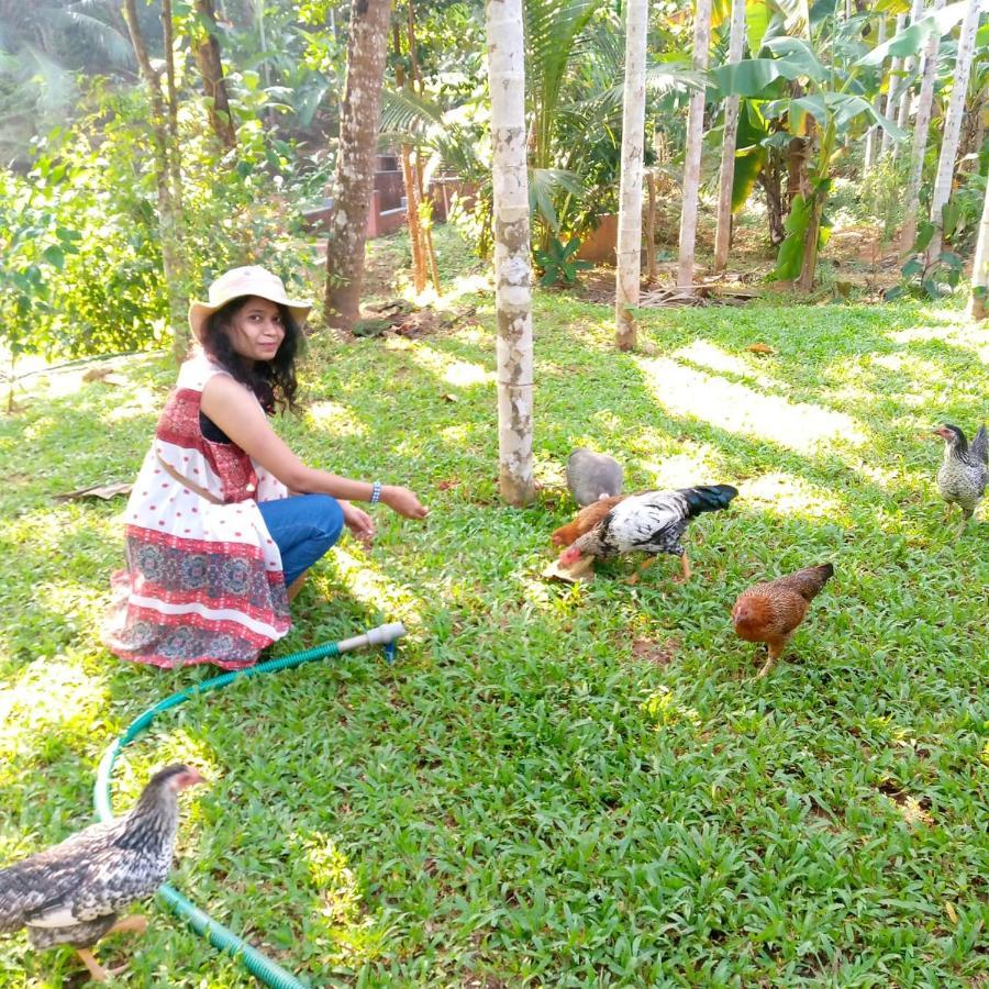 Nidhivana Farms & Resort, Bakrebail-salethoor Rd, * Mangalore