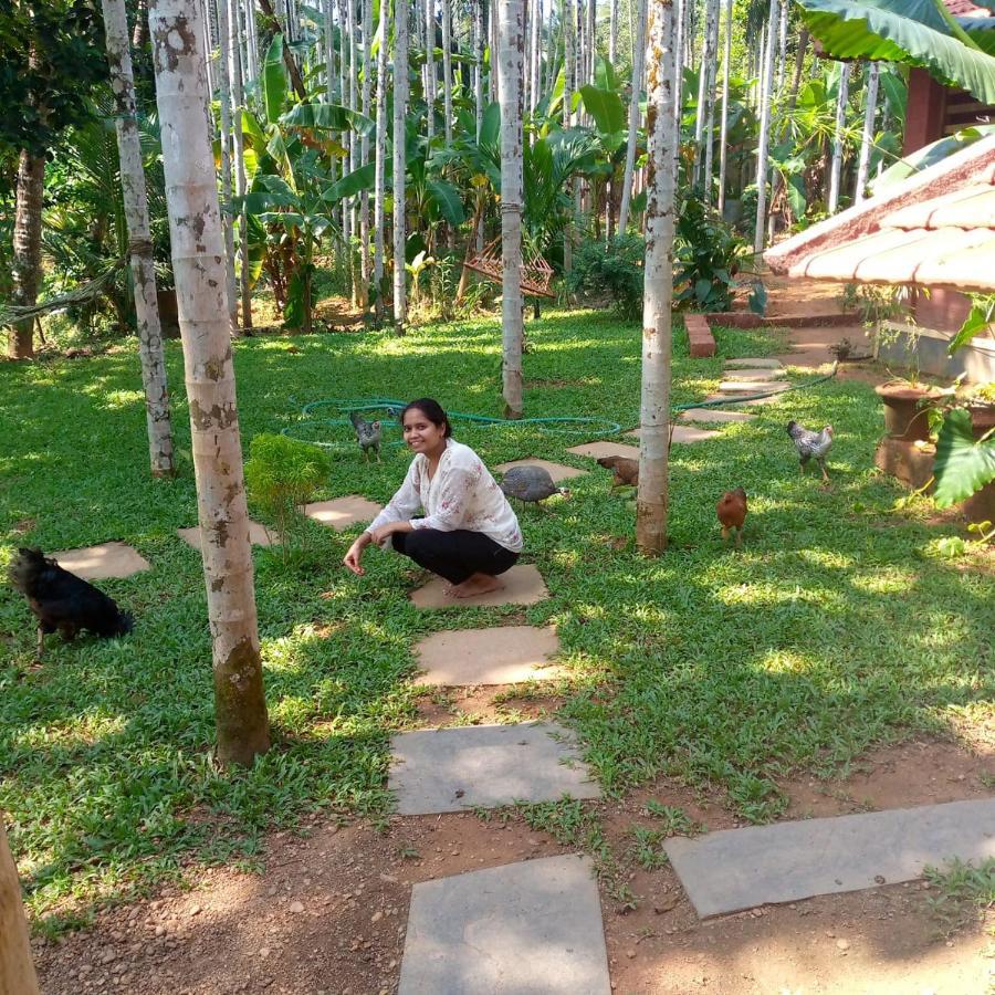Nidhivana Farms & Resort, Bakrebail-salethoor Rd, Apartment