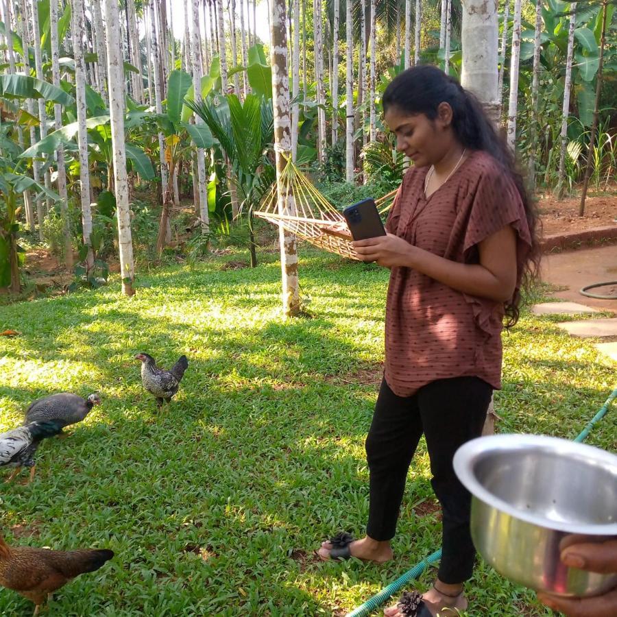 Apartment Nidhivana Farms & Resort, Bakrebail-salethoor Rd, *