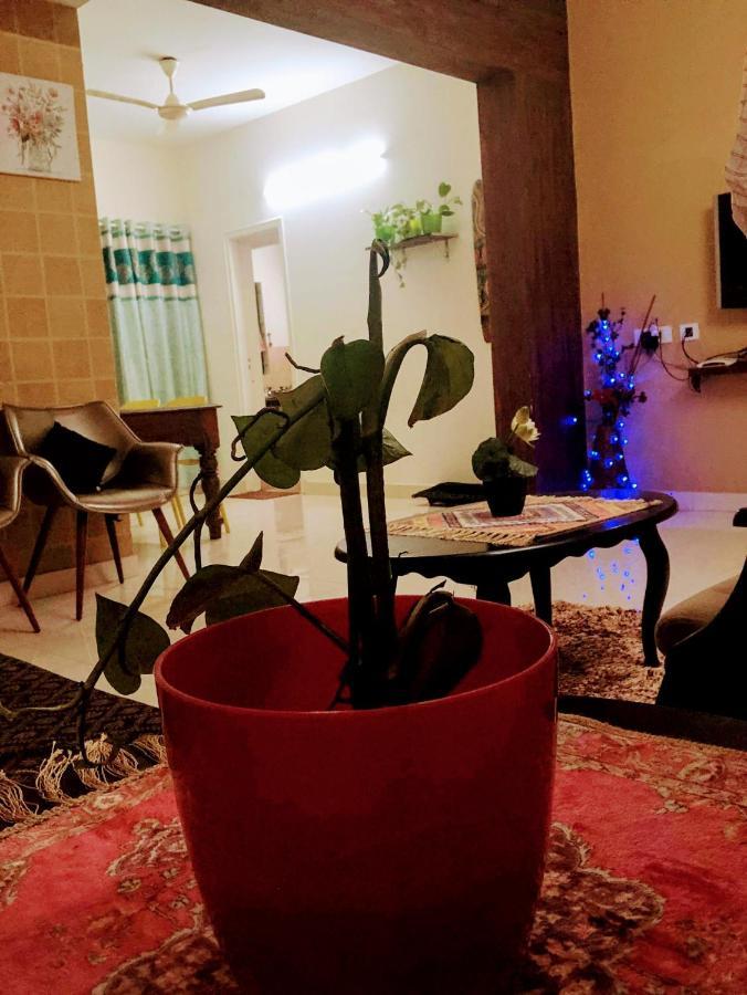 Adorable 2bhk In The Downtown Close To Everything Apartment Mangalore