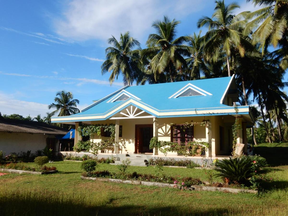 Campsite Blue Oasis
