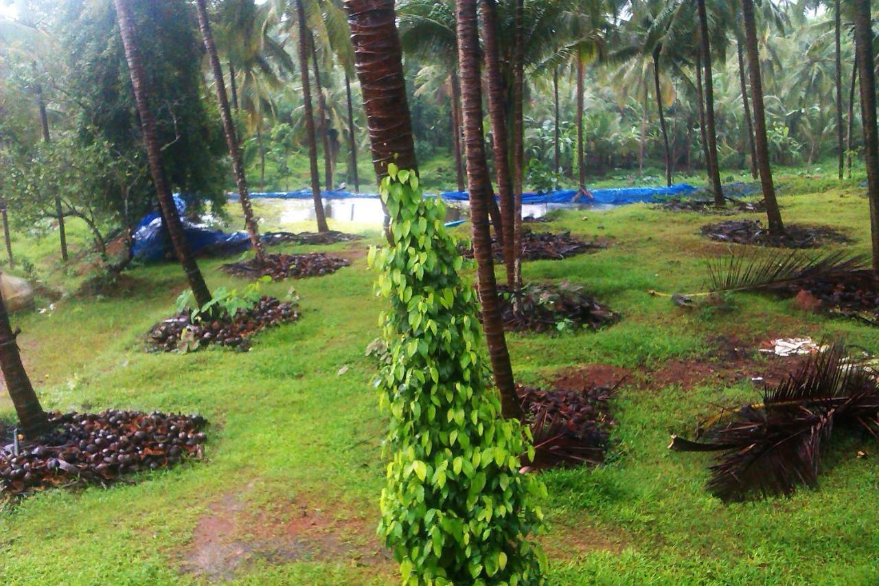 Campsite Blue Oasis Mangalore