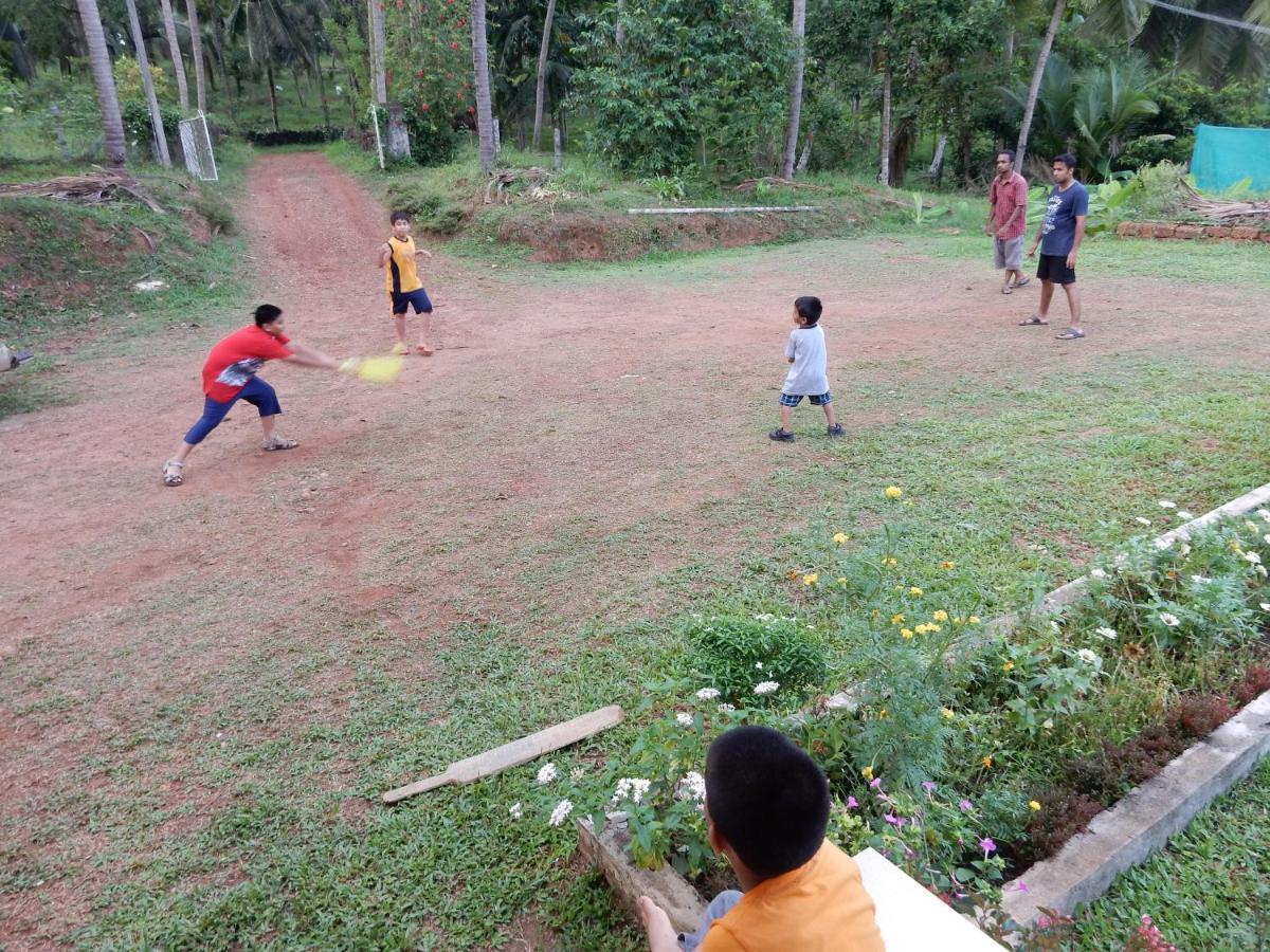 Blue Oasis Campsite Mangalore