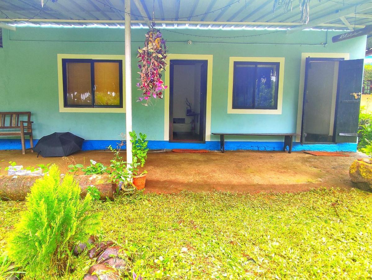 Blue Oasis