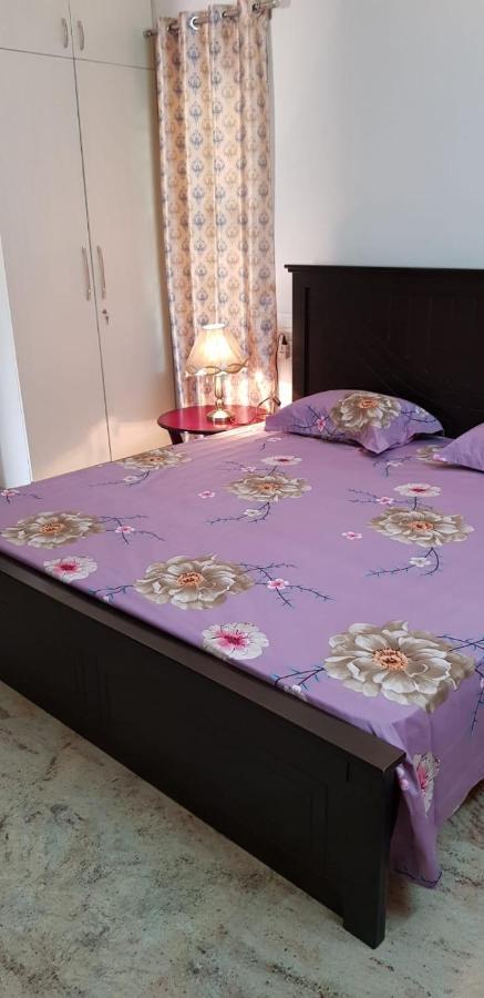 Sri Krishna Palace Guest house *