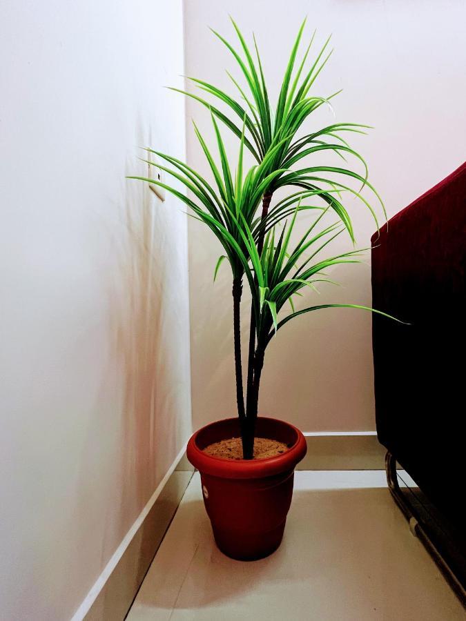 Apartment Serene 2bhk Surrounded With Greenery. *