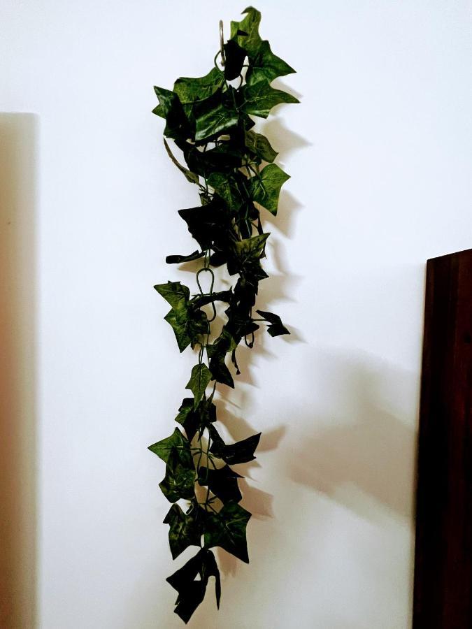 Cozy 2bhk Surrounded With Greenery.