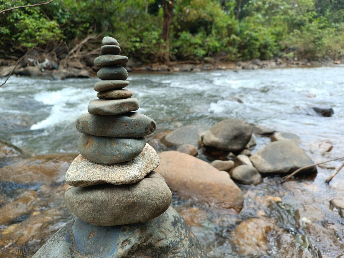 Campsite Blue Oasis Mangalore