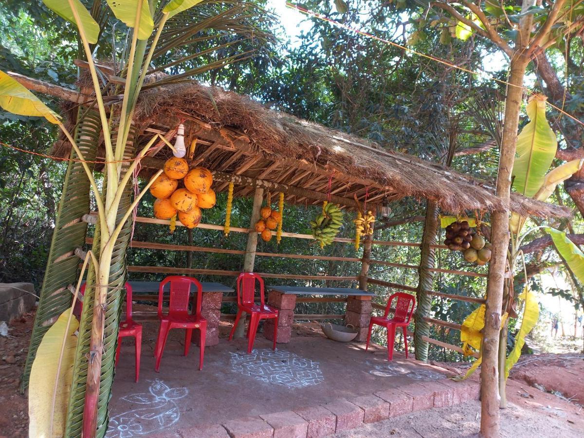 Nidhivana Farms & Resort, Bakrebail-salethoor Rd, Mangalore