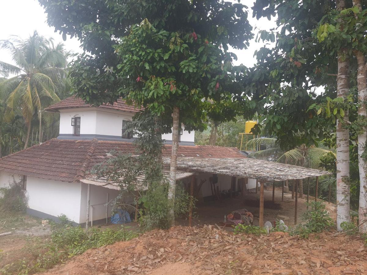 Farm stay Pajeer Farms Mangalore