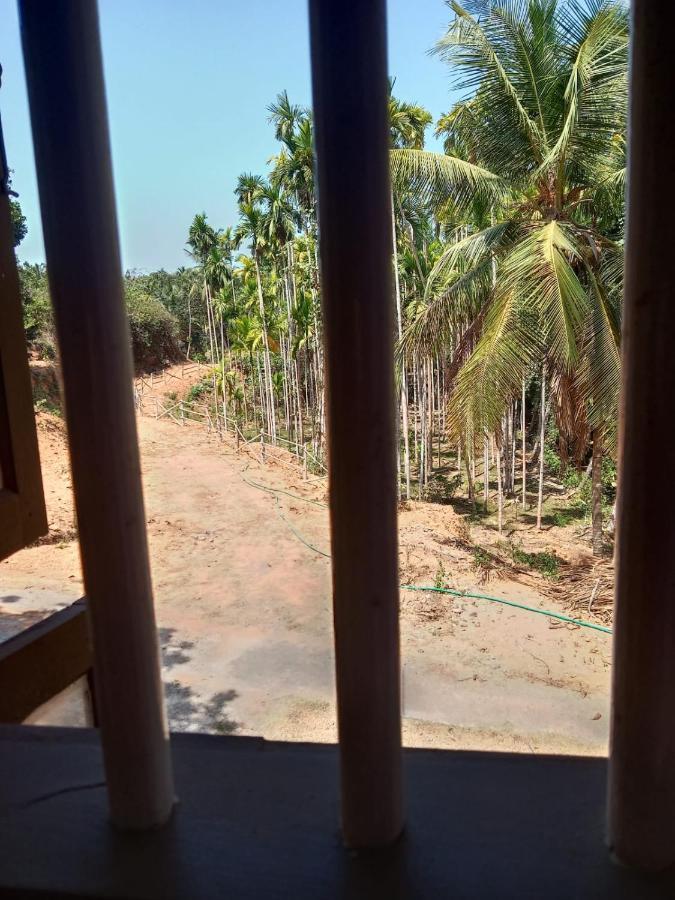 Pajeer Farms Farm stay *