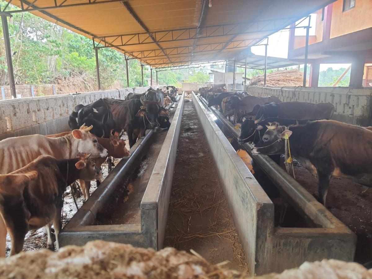 Pajeer Farms