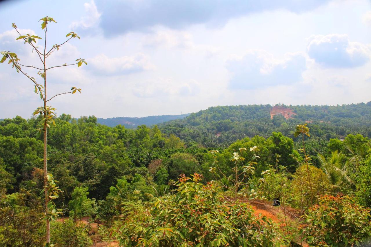 Vishaal Estate And Farm House * Mangalore