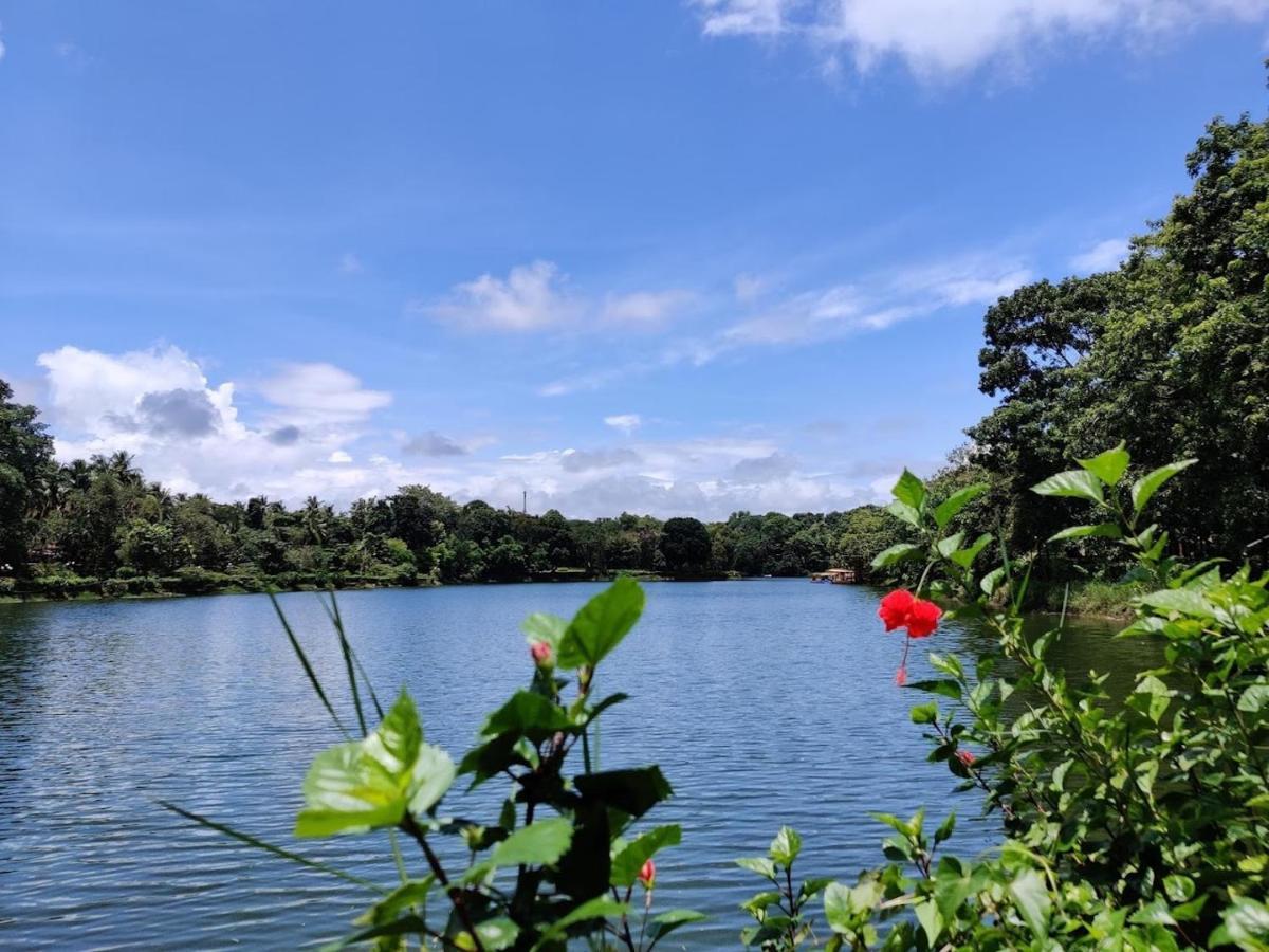 Kenson Mangalore