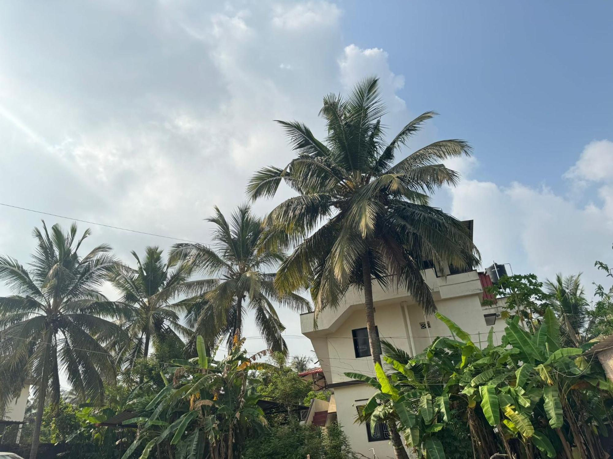 Kensons Budgetstay Non Ac Free Wifi And Parking *