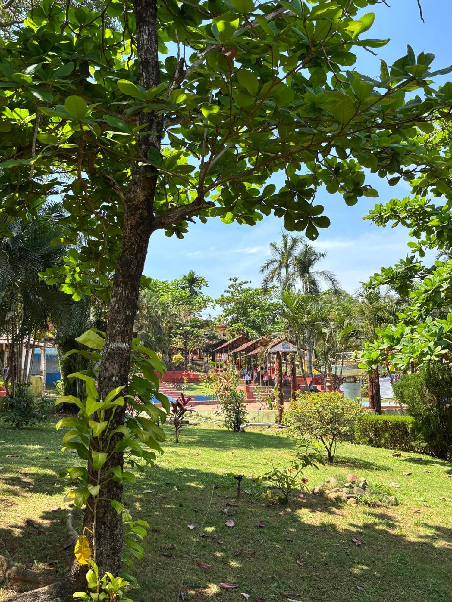 Manasa Water Park And *