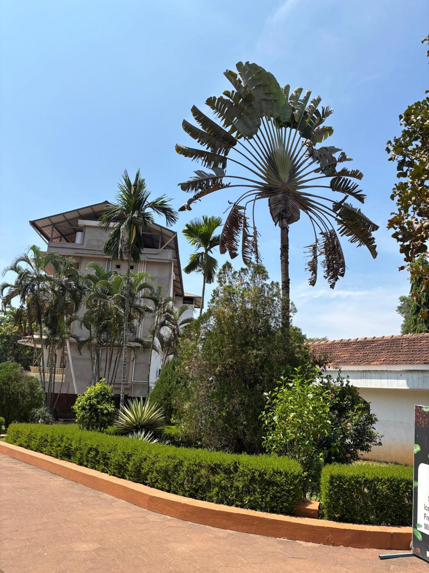 Hotel Manasa Water Park And *