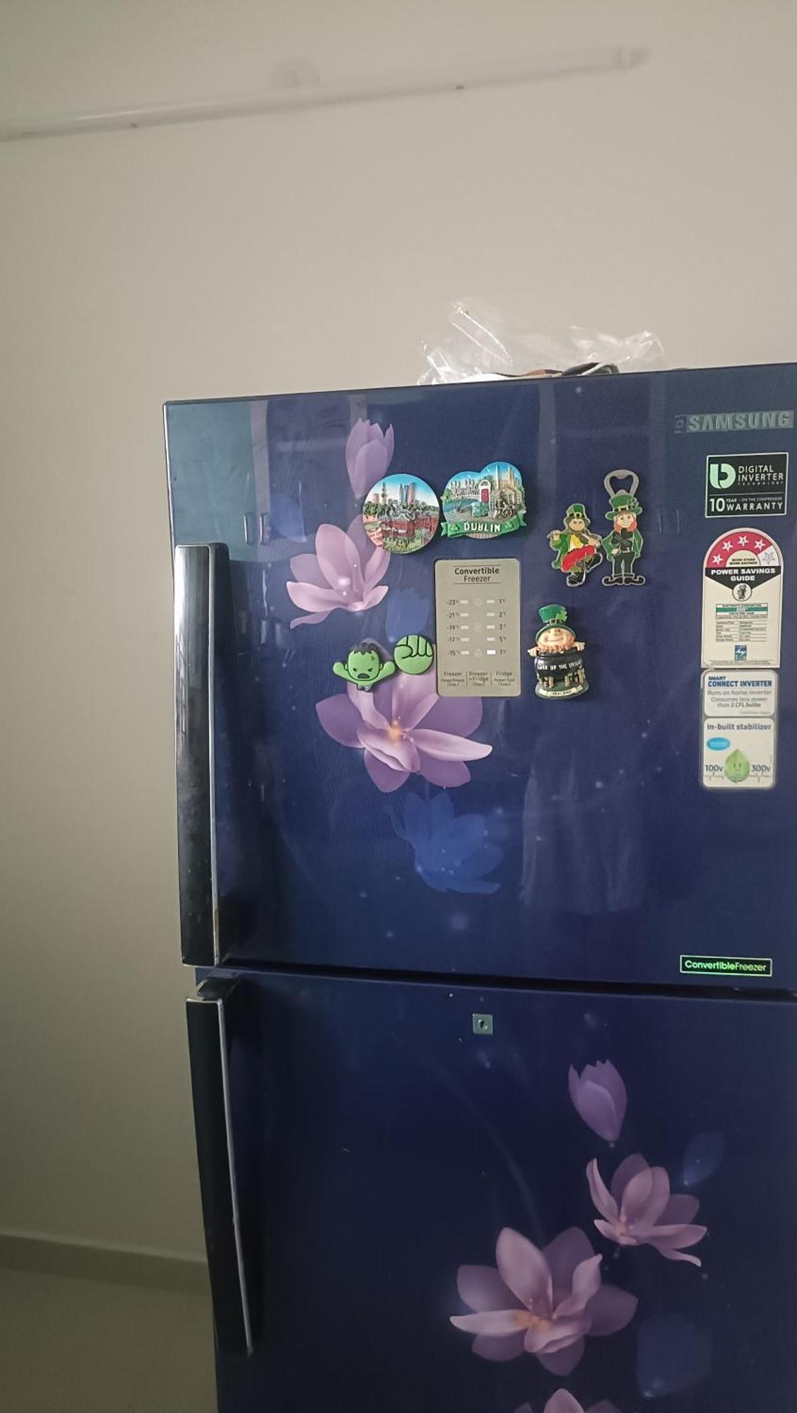 Lotus Rovin Apartment