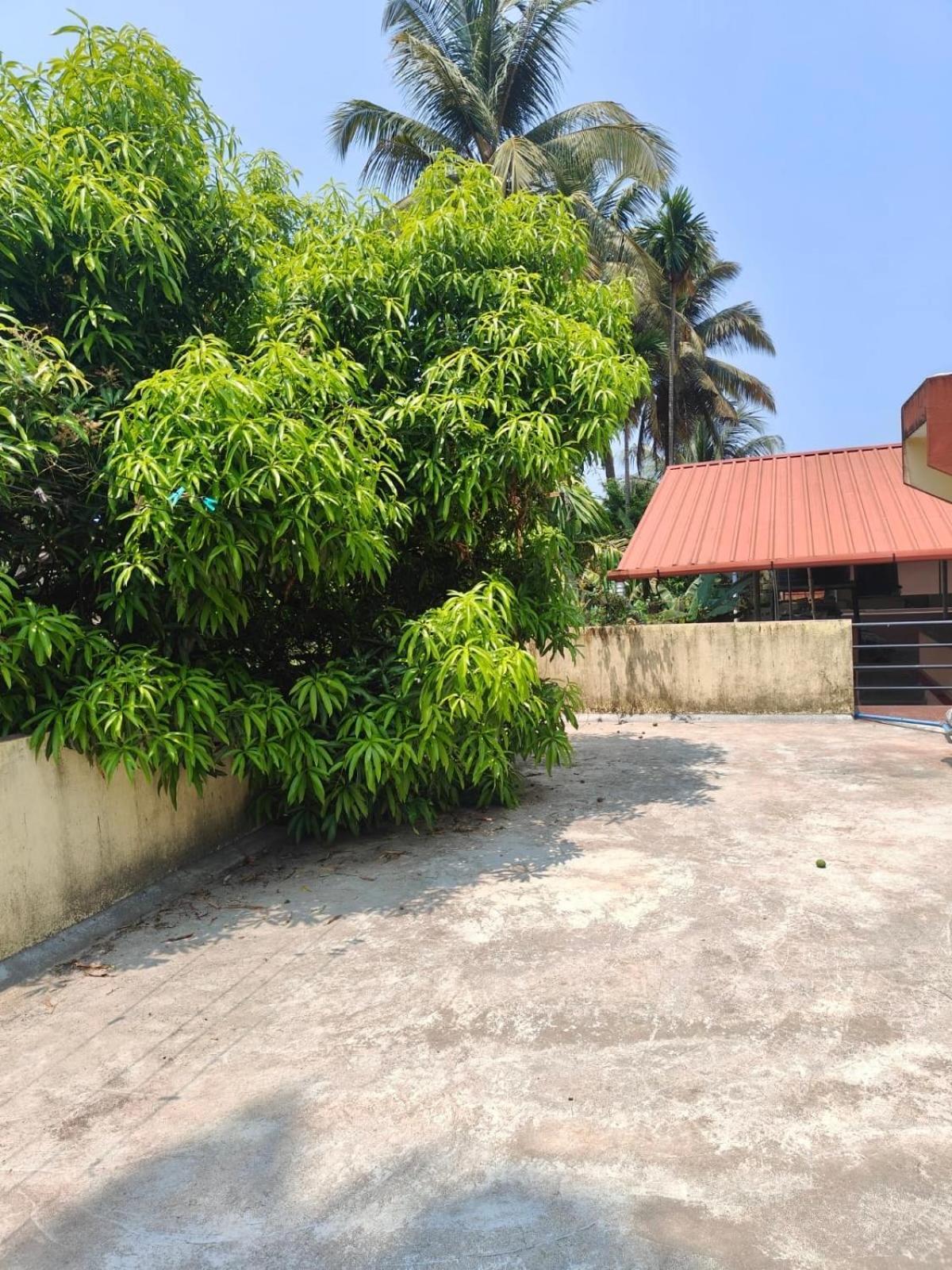 Shreyas - Authentic