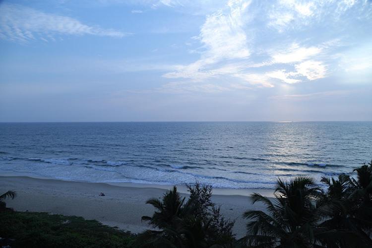 Palm Breeze *