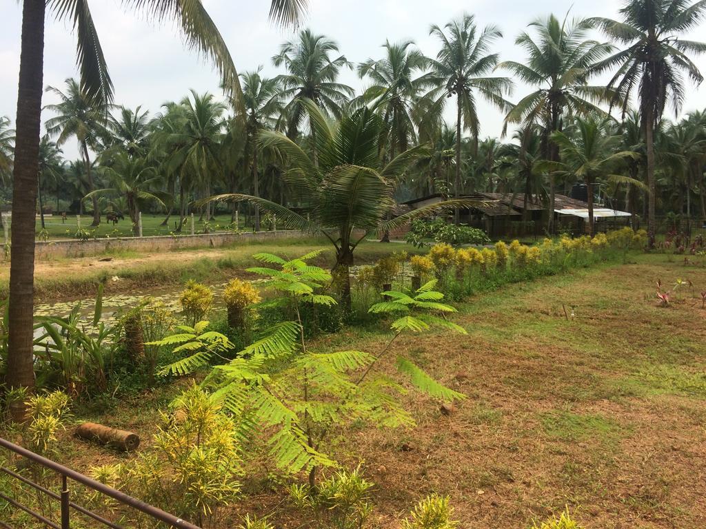 Resort River Roost Mangalore