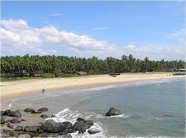 Hermit Crab Serviced Mangalore
