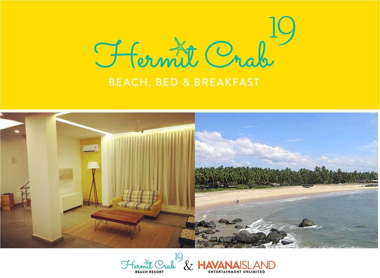 Hermit Crab Serviced * Mangalore
