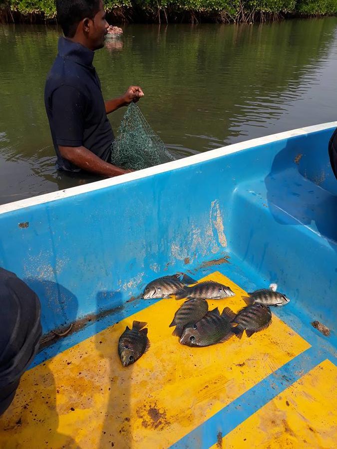 Hermit Crab Serviced * Mangalore