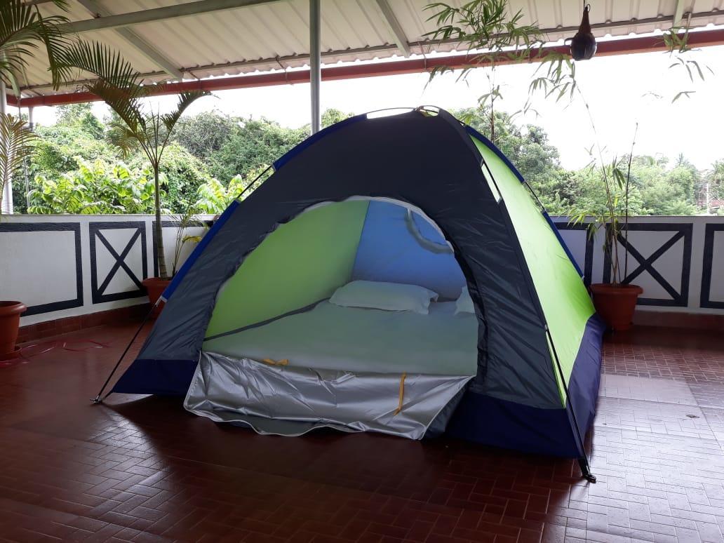 Hermit Crab Serviced Mangalore