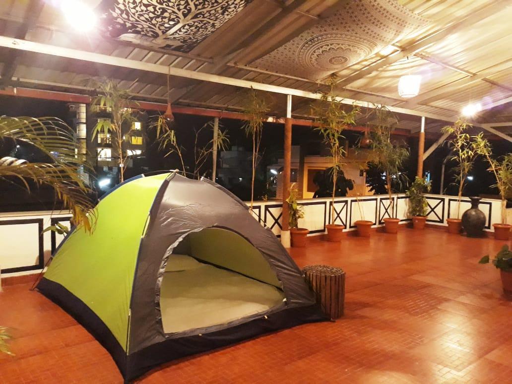 Hermit Crab Serviced * Mangalore