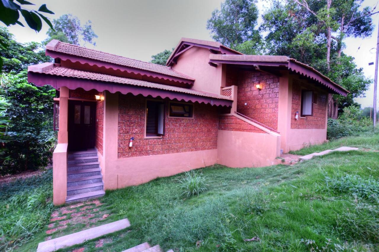 Phalguni River 3*