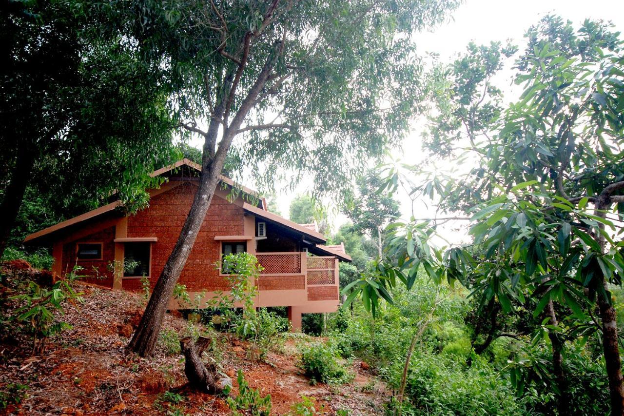 Resort Phalguni River